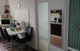 Apartament 2 camere, ultracentral, priveliste la padure