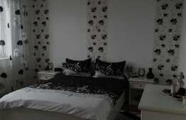 Apartament 2 camere, ultracentral, priveliste la padure