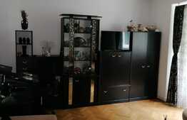 Apartament 2 camere, ultracentral, priveliste la padure