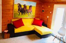 Proprietate deosebita pentru investitie Airbnb!