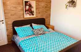 Proprietate deosebita pentru investitie Airbnb!