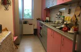 Apartament la mansarda, cu doua camere,  58 mp+balcon, in zona Petrom, Baciu