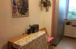 Apartament la mansarda, cu doua camere,  58 mp+balcon, in zona Petrom, Baciu