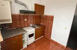 Apartament cu o camera, 45 mp, parcare cu bariera, zona centrala