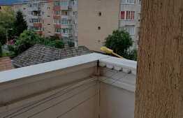 Apartament 2 camere, decomandat, zona Piata Astra