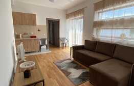 Apartament 2 camere, modern, 40 mp, parcare, zona Muzeul Apei!