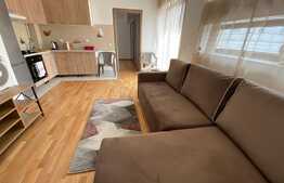 Apartament 2 camere, modern, 40 mp, parcare, zona Muzeul Apei!