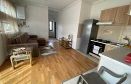 Apartament 2 camere, modern, 40 mp, parcare, zona Muzeul Apei!