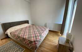 Apartament 2 camere, modern, 40 mp, parcare, zona Muzeul Apei!