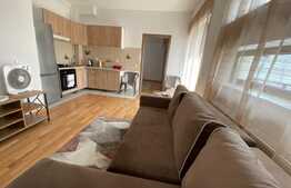 Apartament 2 camere, modern, 40 mp, parcare, zona Muzeul Apei!