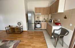 Apartament 2 camere, modern, 40 mp, parcare, zona Muzeul Apei!