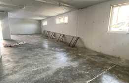 Spatiu pretabil pentru depozitare sau activitati, 85 mp, Floresti 