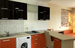 Garsoniera in zona ultracentrala, cladire renovata!