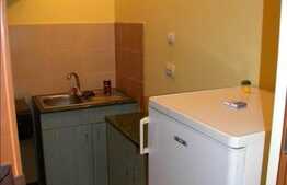 Vanzare apartament 3 camere, 72 mp utili, zona Campului, gradina si loc parcare