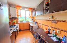 Apartament 3 camere, 60 mp, finisat, mobilat, zona Piata Abator