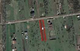 Teren intravilan, 944 mp in Sanpetru