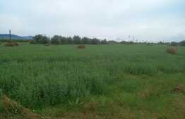 Vand teren zona Bontida, 78000 mp, aprox 1km front la strada, utilitati in zona