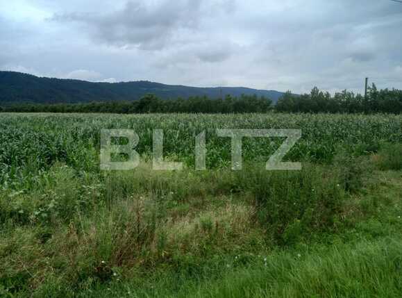 Teren de vânzare Exterior Est - 68659TV | BLITZ Cluj-Napoca | Poza2