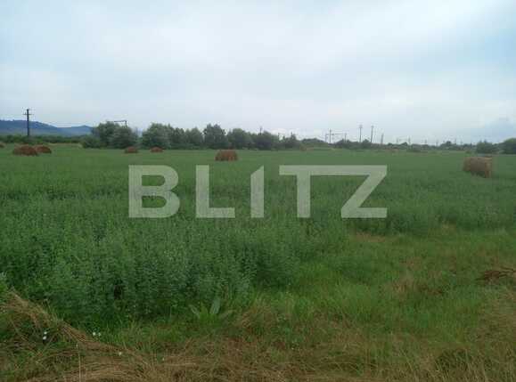 Teren de vânzare Exterior Est - 68659TV | BLITZ Cluj-Napoca | Poza1