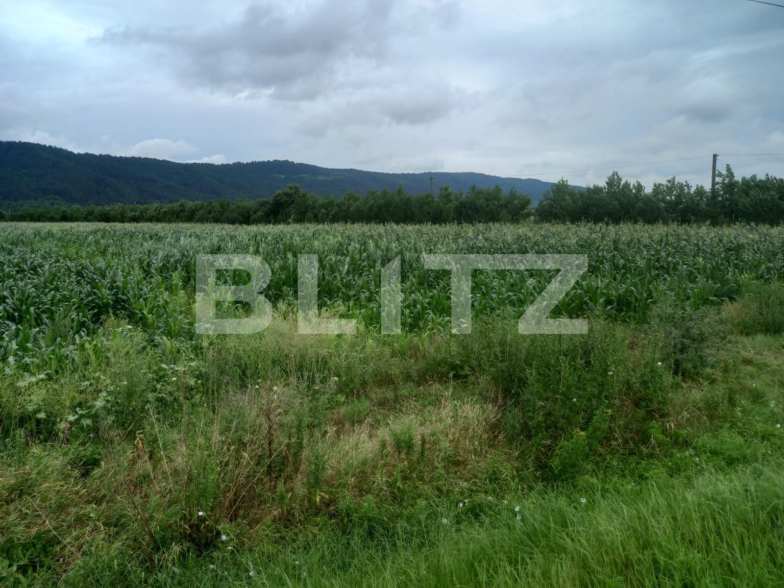 Teren de vânzare Exterior Est - 68659TV | BLITZ Cluj-Napoca | Poza2