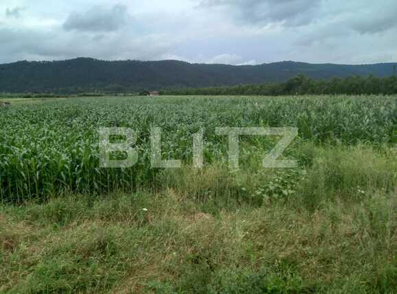 Teren de vânzare Exterior Est - 68660TV | BLITZ Cluj-Napoca | Poza1