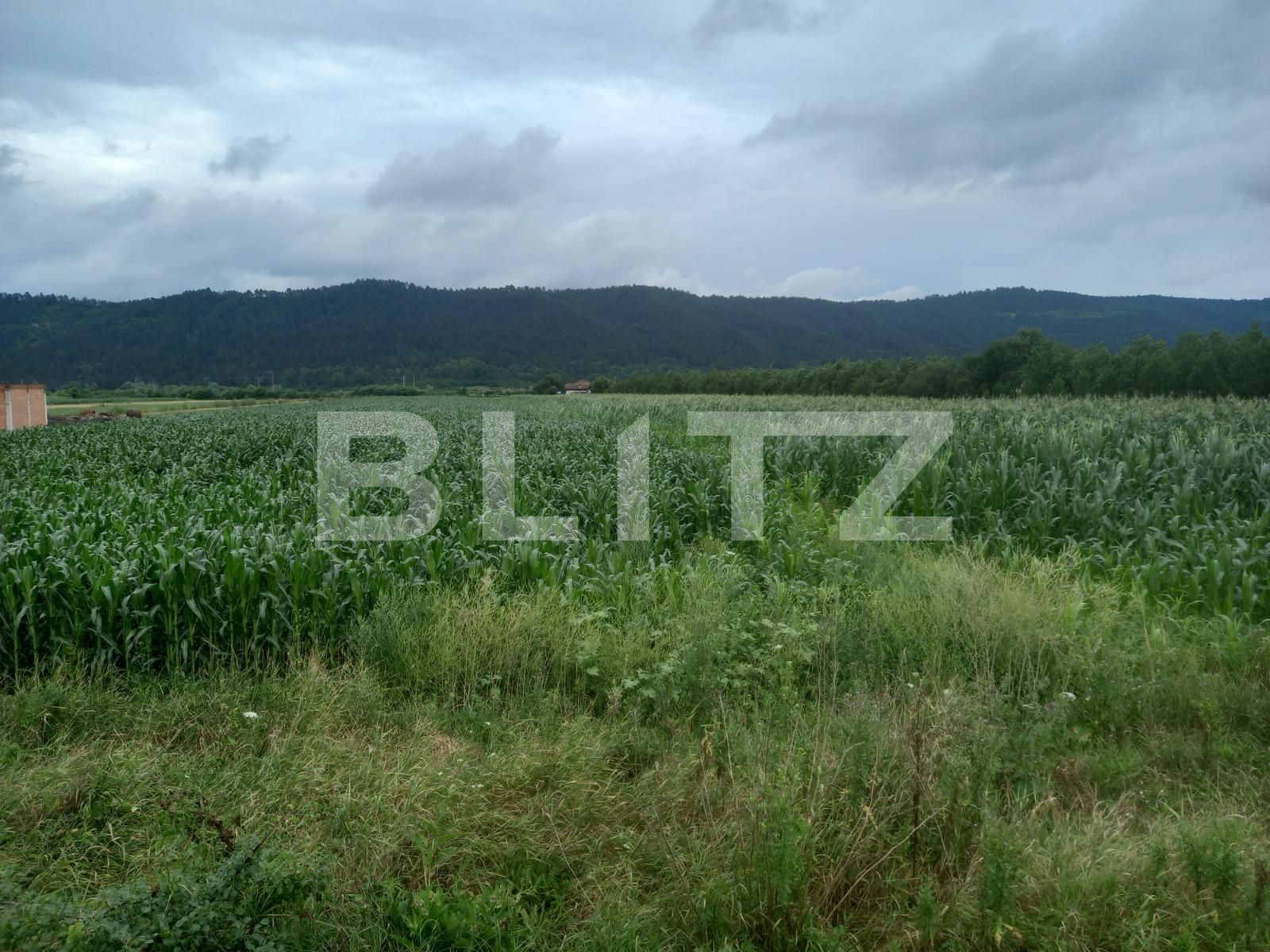 Teren de vânzare Exterior Est - 68660TV | BLITZ Cluj-Napoca | Poza3