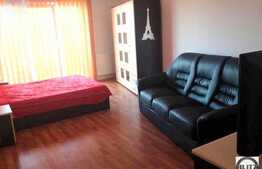 1 camera, 45 mp, imobil nou, mobilat modern, Calea Motilor