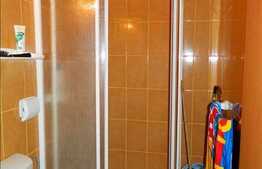 Vanzare garsoniera in zona Plopilor, finisata