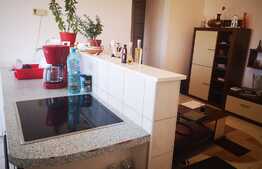 Apartament 2 camere, 50 mp, zona Astra