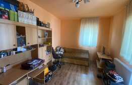 Apartament 3 camere, etaj 1, parcare, zona Sub Cetate, Floresti