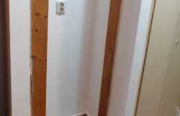 Garsoniera decomandata, 35 mp, recent renovata, zona Aleea Detunata