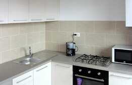 Apartament cu 1 camera decomandata, 44 mp, Henri Barbusse, Marasti