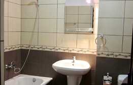 Apartament cu 1 camera decomandata, 44 mp, Henri Barbusse, Marasti