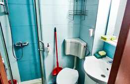 Garsoniera cocheta, etaj intermediar, CT proprie, zona Fabricii