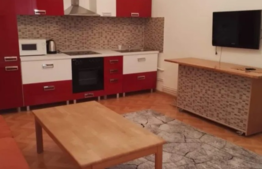 Apartament 2 camere, central, ideal pentru investitie