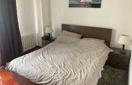 Apartament 2 camere, zona centrala, pet friendly