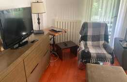 Apartament 2 camere, zona centrala, pet friendly
