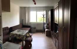 Garsoniera de 24 mp, mobilata si utilata, zona Triaj