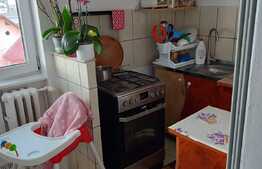 Garsoniera 24 mp, partial mobilata si utilata, zona Tractoru 