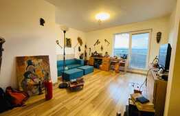 Reducere de pret!!! Apartament cu 2 camere cu panorama deosebita, finisat, parcare, terasa, zona BMW.