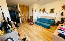 Reducere de pret!!! Apartament cu 2 camere cu panorama deosebita, finisat, parcare, terasa, zona BMW.