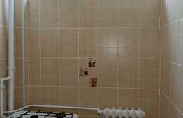 Garsoniera decomandata, pet friendly, 32 mp, zona Iulius Mall, cartier Gheorgheni