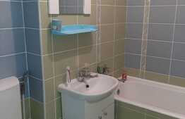 Garsoniera decomandata, pet friendly, 32 mp, zona Iulius Mall, cartier Gheorgheni