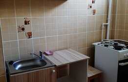 Garsoniera decomandata, pet friendly, 32 mp, zona Iulius Mall, cartier Gheorgheni