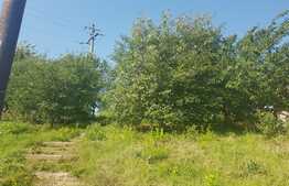 Casa cu teren, 1000 mp, 162 utili, Chinteni