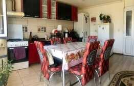 Casa tip triplex, 4 camere, cartier Izvor, 300mp teren