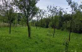 Blitz vinde casa de vacanta zona Petrestii de Jos, 17 00 mp teren, front 17ml