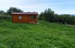 Blitz vinde casa de vacanta zona Petrestii de Jos, 17 00 mp teren, front 17ml