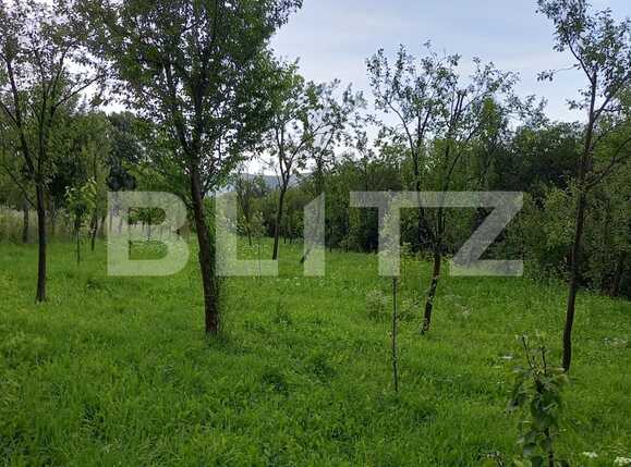 Casa de vânzare 1 camera Exterior Vest - 69002CV | BLITZ Cluj-Napoca | Poza3