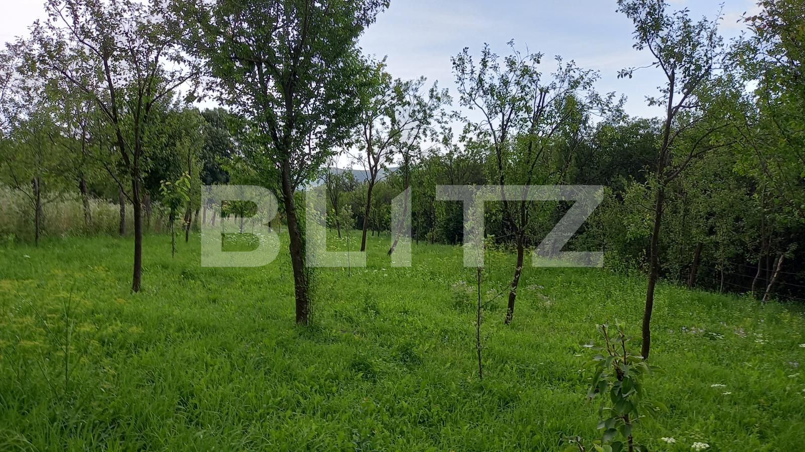 Casa de vânzare 1 camera Exterior Vest - 69002CV | BLITZ Cluj-Napoca | Poza3